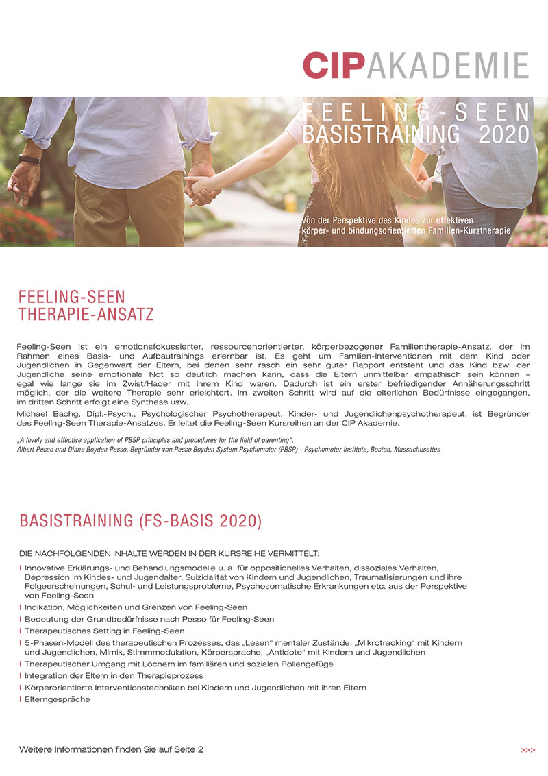 feesee basis flyer 2020